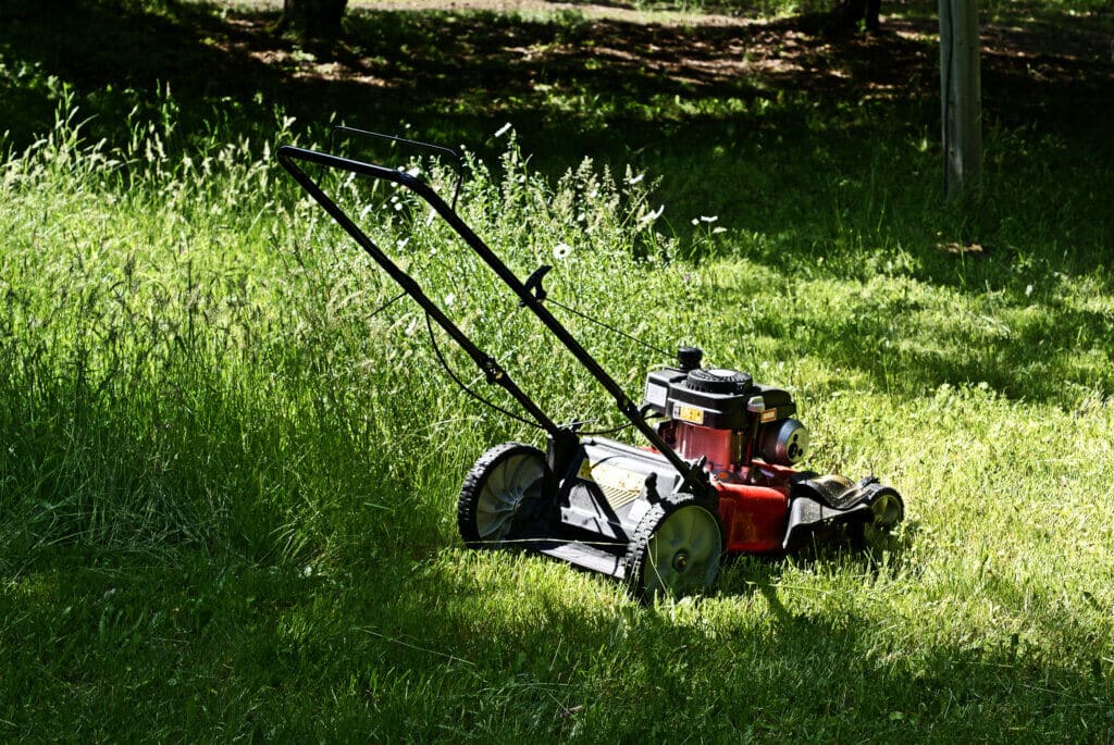 Why You Shouldn’t Use Your Mower To Cut Through Tall Brush