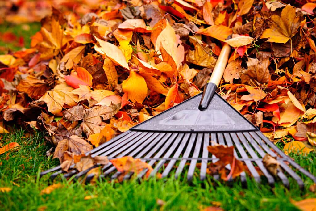 5 Fall Yard Projects to Tackle