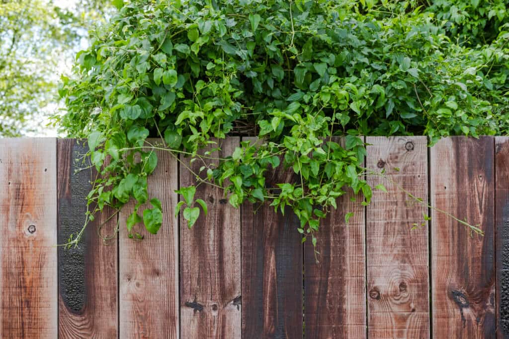 5 Tips For DIY Fence Builders