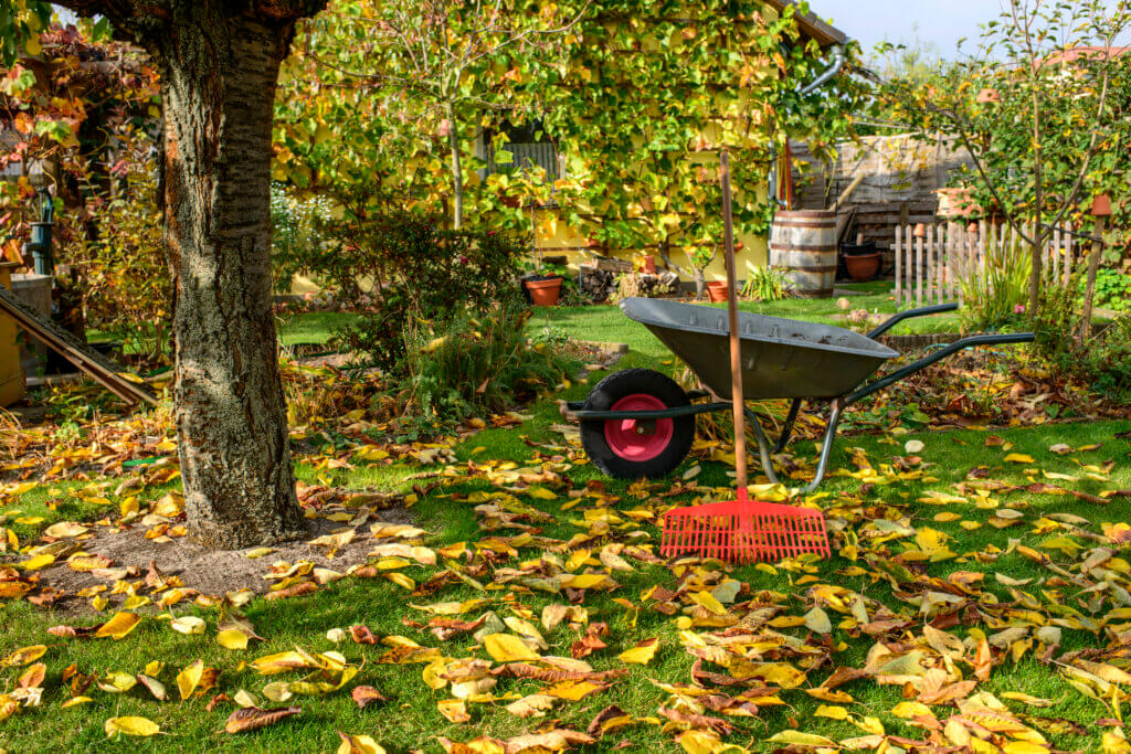 DIY Fall Landscaping Tips